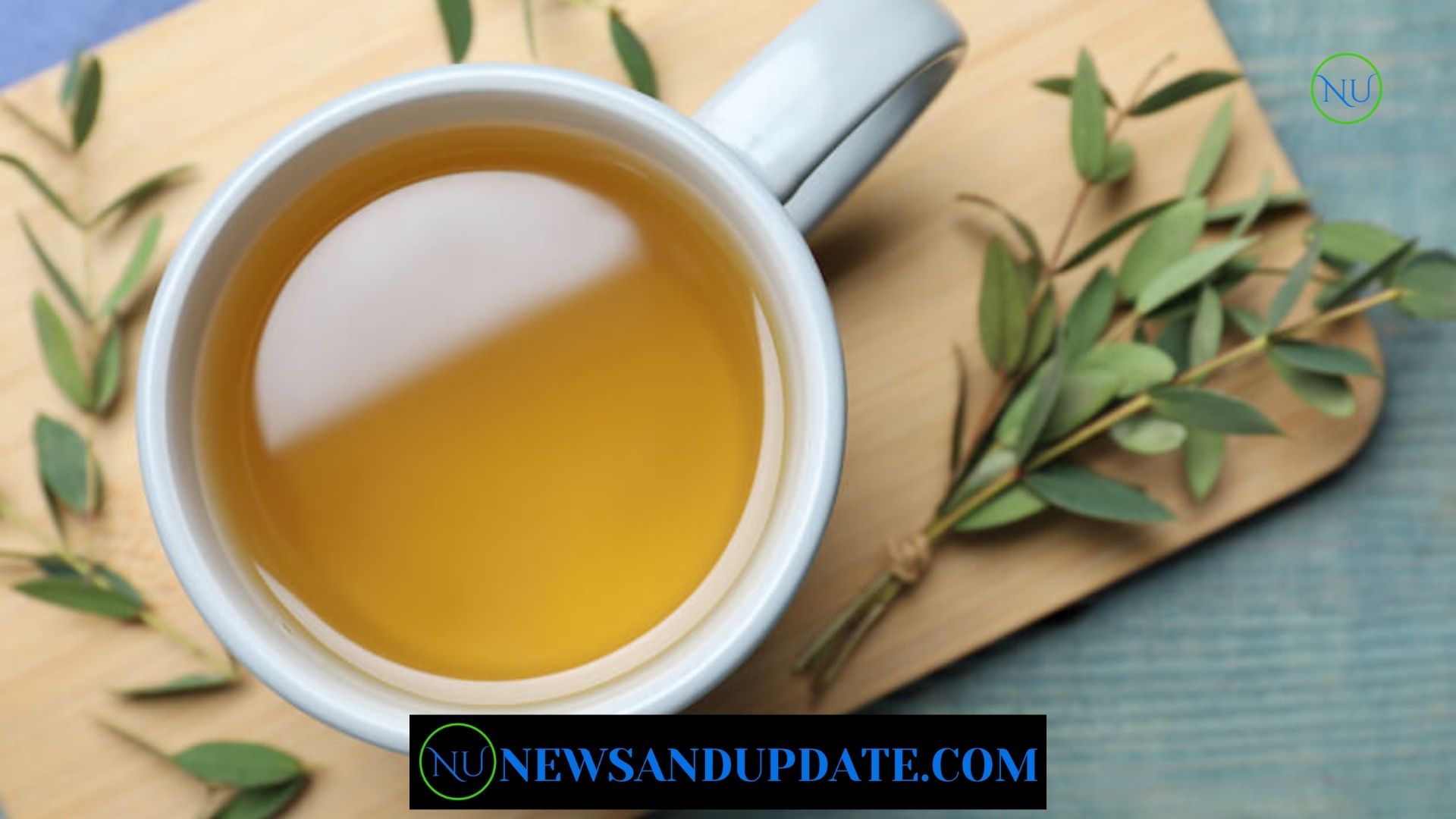 Eucalyptus Tea – Benefits and Side Effects