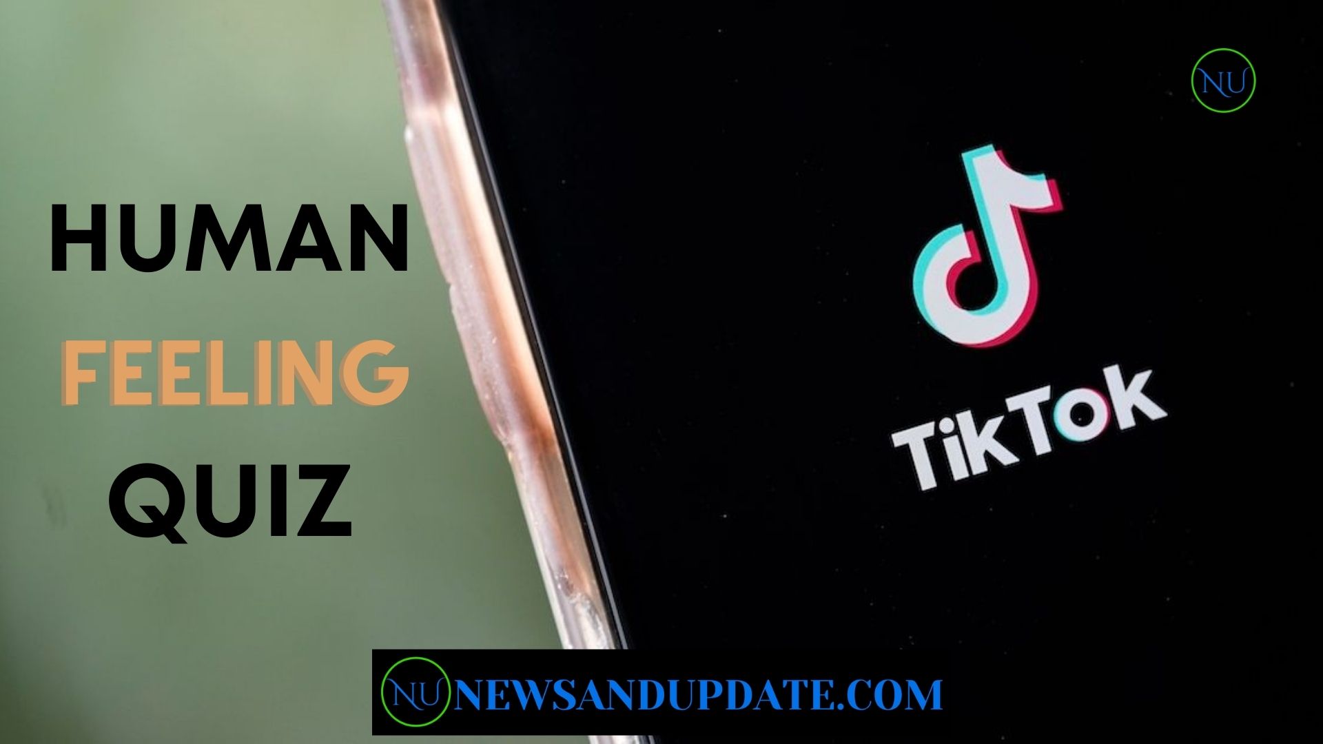 TikTok's Human Feeling Quiz - Know Everything About This Trend!