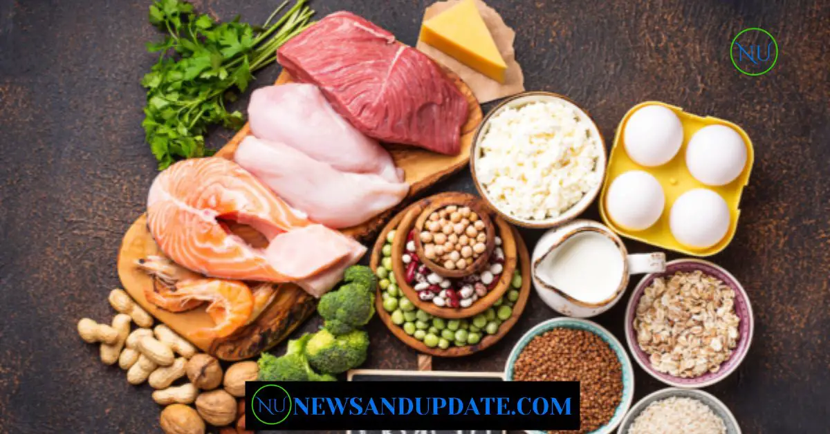 Thermogenic Effects of High-Protein Diets: Know Details!