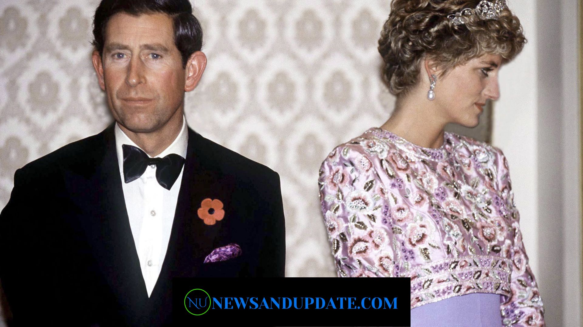 Why Did Prince Charles And Princess Diana Divorce?